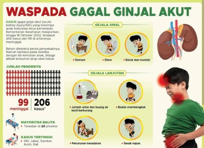 Ilustrasi gangguan ginjal pada anak. [Instagram]